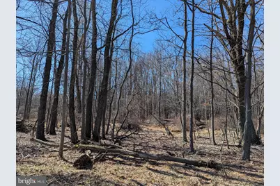 0 T 628, Effort, PA 18330 - Photo 4