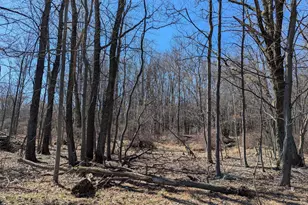 0 T628, Effort, PA 18330 - Photo 4