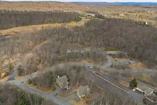 111 High Mountain Ln, Tannersville, PA 18372 - Photo 76