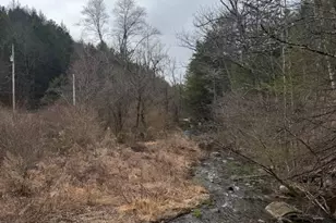 3603 Lakewood Dr, Saylorsburg, PA 18353 - Photo 4