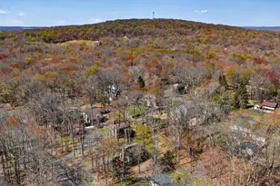 179 Selig Rd, Pocono Lake, PA 18347 - Photo 62