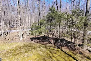 249 Selig Rd, Pocono Lake, PA 18347 - Photo 54
