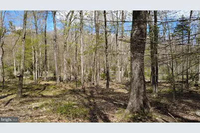 163 Owassa Drive, Pocono Lake, PA 18347 - Photo 6