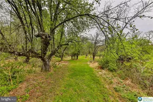 772 Rte 115, Saylorsburg, PA 18353 - Photo 42