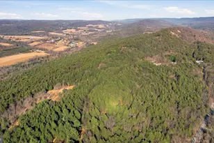 0 Co Line & Lr 45052, Kunkletown, PA 18058 - Photo 8