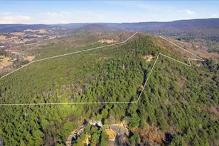 0 Co Line & Lr 45052, Kunkletown, PA 18058 - Photo 4
