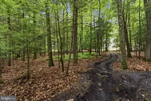 3 Theresa Ln, Saylorsburg, PA 18353 - Photo 42