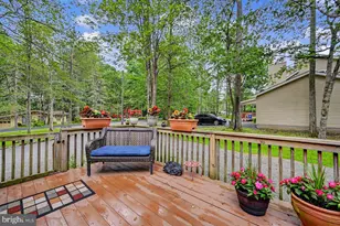 167 Tommy's Ln, Pocono Lake, PA 18347 - Photo 54
