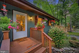 167 Tommy's Ln, Pocono Lake, PA 18347 - Photo 46