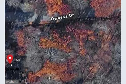 0 & 00 Owassa Drive, Pocono Lake, PA 18347 - Photo 10