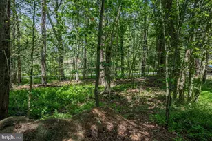 5226 Beechwood Rd, Blakeslee, PA 18610 - Photo 48