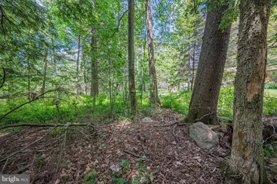 5226 Beechwood Road, Blakeslee, PA 18610 - Photo 46