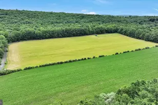 376 H.T.Y. Rd, Kunkletown, PA 18058 - Photo 10