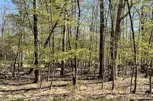 Chickadee Way, East Stroudsburg, PA 18302 - Photo 1