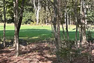 2170 Pine Valley Dr, Tobyhanna, PA 18466 - Photo 12