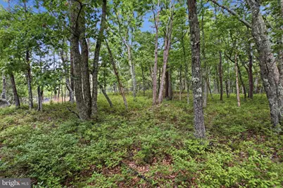 132 North Lane, East Stroudsburg, PA 18301 - Photo 50