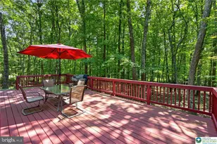 1137 Grand Mesa Dr, Saylorsburg, PA 18353 - Photo 10