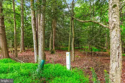 314-317 Arthur Circle, Tobyhanna, PA 18466 - Photo 56