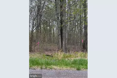 0 Winebago Dr2, Pocono Lake, PA 18347 - Photo 2