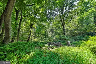 169 Dogwood Ln, Saylorsburg, PA 18353 - Photo 46