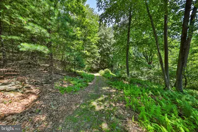 169 Dogwood Lane, Saylorsburg, PA 18353 - Photo 50