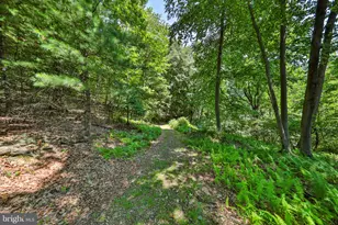 169 Dogwood Ln, Saylorsburg, PA 18353 - Photo 50
