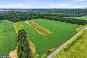 267 Long Mountain Rd, Effort, PA 18330 - Photo 20