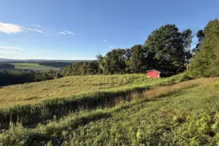 189 Turkey Ridge Dr, Kunkletown, PA 18058 - Photo 8