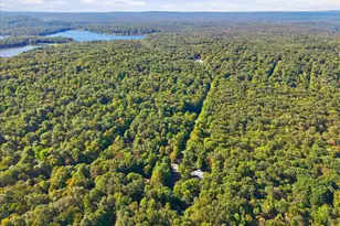 193 Minisink Dr, Pocono Lake, PA 18347 - Photo 58