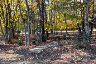 320 Midland Ct, Albrightsville, PA 18210 - Photo 88
