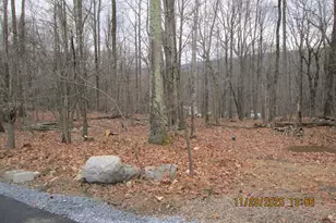 380 Gallery Ln, Mount Bethel, PA 18343 - Photo 6