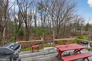 1089 Walnut Dr, Danielsville, PA 18038 - Photo 48