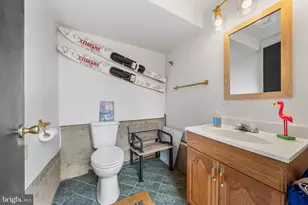 541 Mountain View Rd, Nazareth, PA 18064 - Photo 42