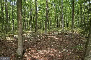1421 Nectarine Rd, Danielsville, PA 18038 - Photo 66