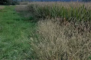 0 Old State Rd, Turbotville, PA 17772 - Photo 4