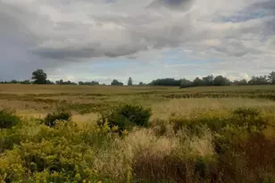 0 Old State Rd, Turbotville, PA 17772 - Photo 12