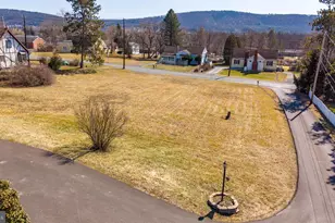 148 Penn Ave, Elysburg, PA 17824 - Photo 78