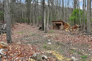 291 Hebe Bypass Rd, Herndon, PA 17830 - Photo 42