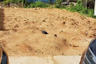 1529 W Oakdale St, Philadelphia, PA 19132 - Photo 6