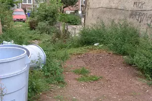 6514 Tulip St, Philadelphia, PA 19135 - Photo 1