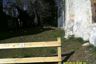 3322 N Gratz St, Philadelphia, PA 19140 - Photo 2