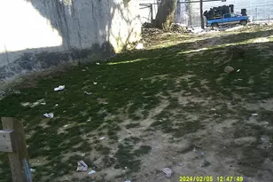 2741 N Hicks St, Philadelphia, PA 19132 - Photo 2