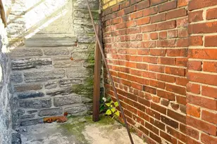 1018 Jackson St, Philadelphia, PA 19148 - Photo 6