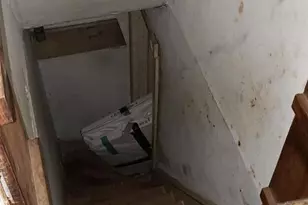 1521 Belfield Ave, Philadelphia, PA 19141 - Photo 28