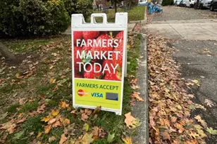 1811 S Orianna St, Philadelphia, PA 19148 - Photo 22