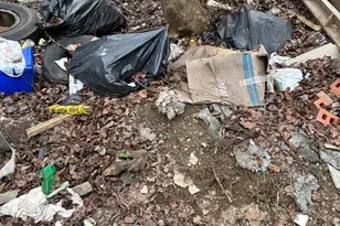 2639 Annin St, Philadelphia, PA 19146 - Photo 10