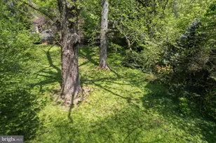 8408 Prospect Ave, Philadelphia, PA 19118 - Photo 4