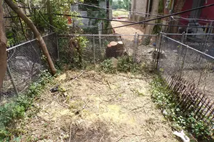 4629 N Marvine St, Philadelphia, PA 19140 - Photo 4