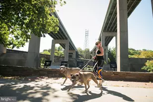 3205 N 35th St, Philadelphia, PA 19129 - Photo 46