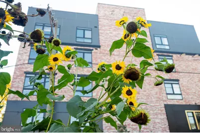 3205 N 35th Street #10, Philadelphia, PA 19129 - Photo 58